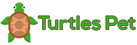 Turtles Pet